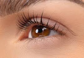 Resultados garantizados